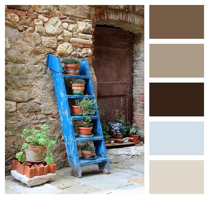 Blue Wall Shelf Flower Pots Ladder Creative Image